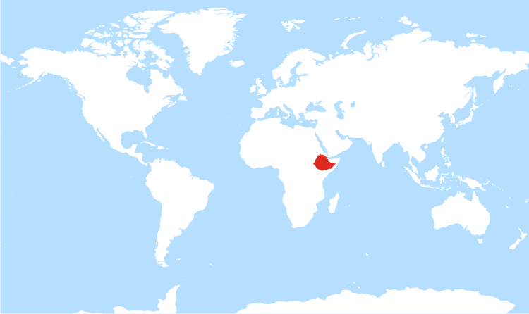 World map Ethiopia highlighted World map Ethiopia highlighted
