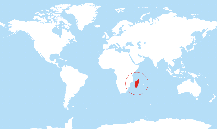 World map Madagascar highlighted