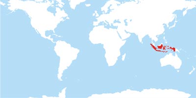 Indonesia location map