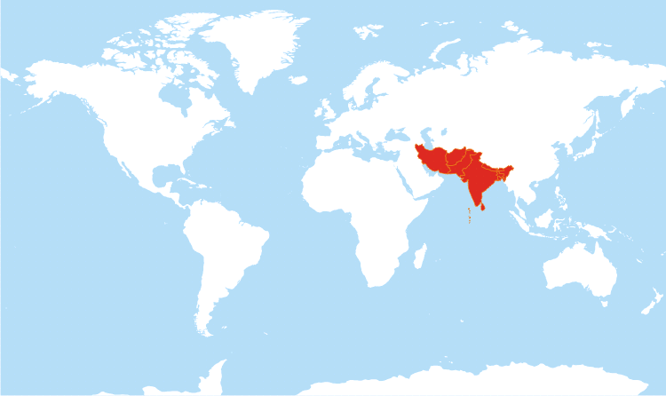 World map South Asia highlighted