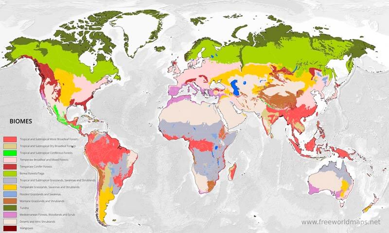 Biomes map of the World
