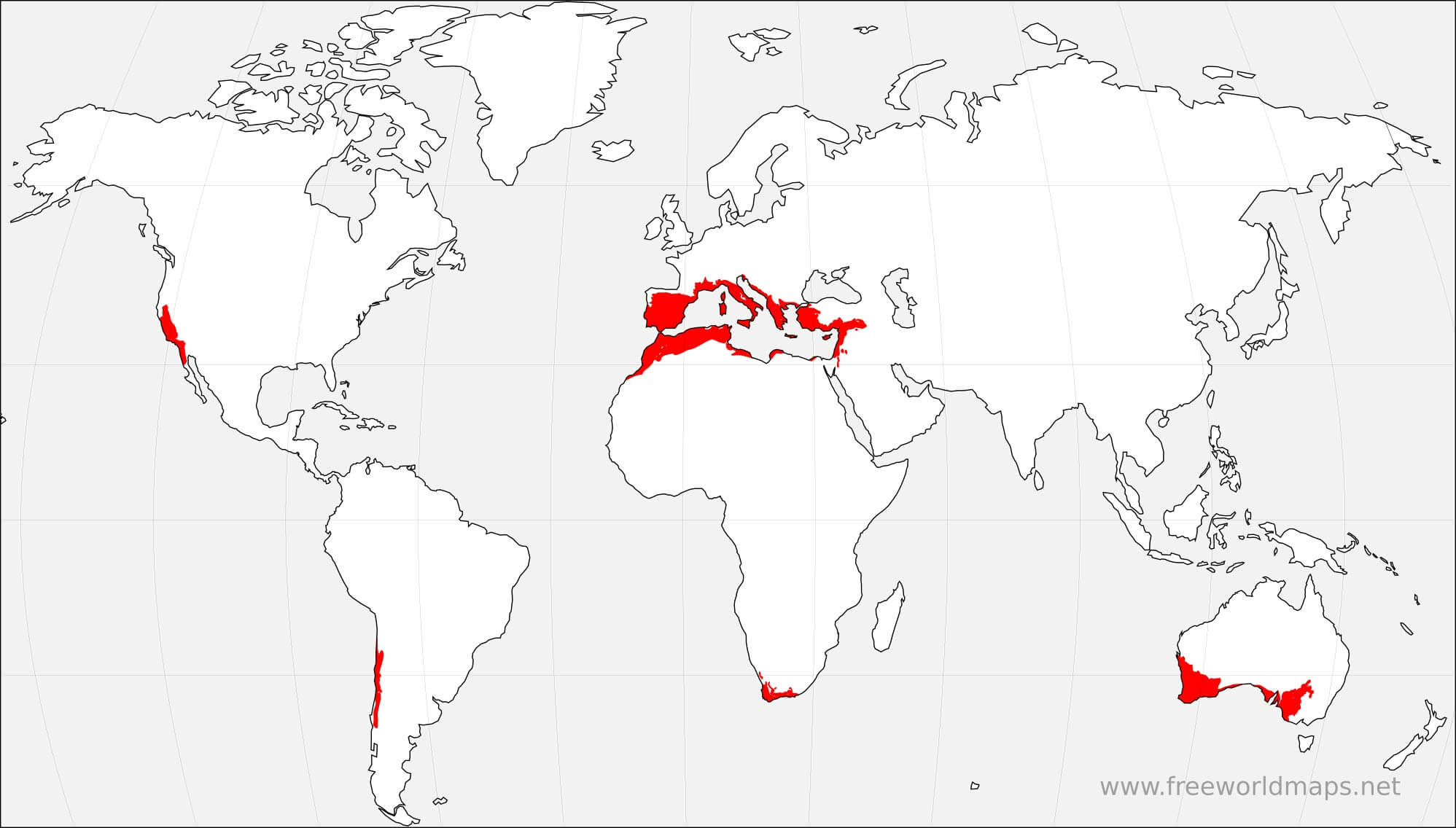 Mediterranean forests biome