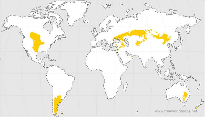 Temperate grasslands, savannas, and shrublands
