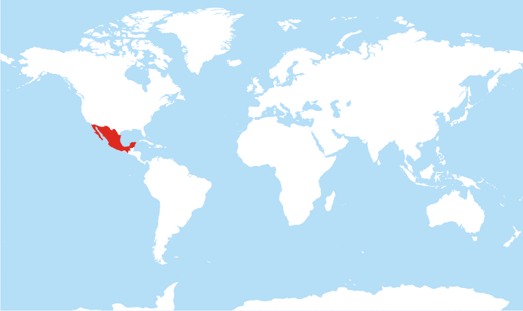 World map Mexico highlighted World map Mexico highlighted