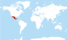 Mexico location map